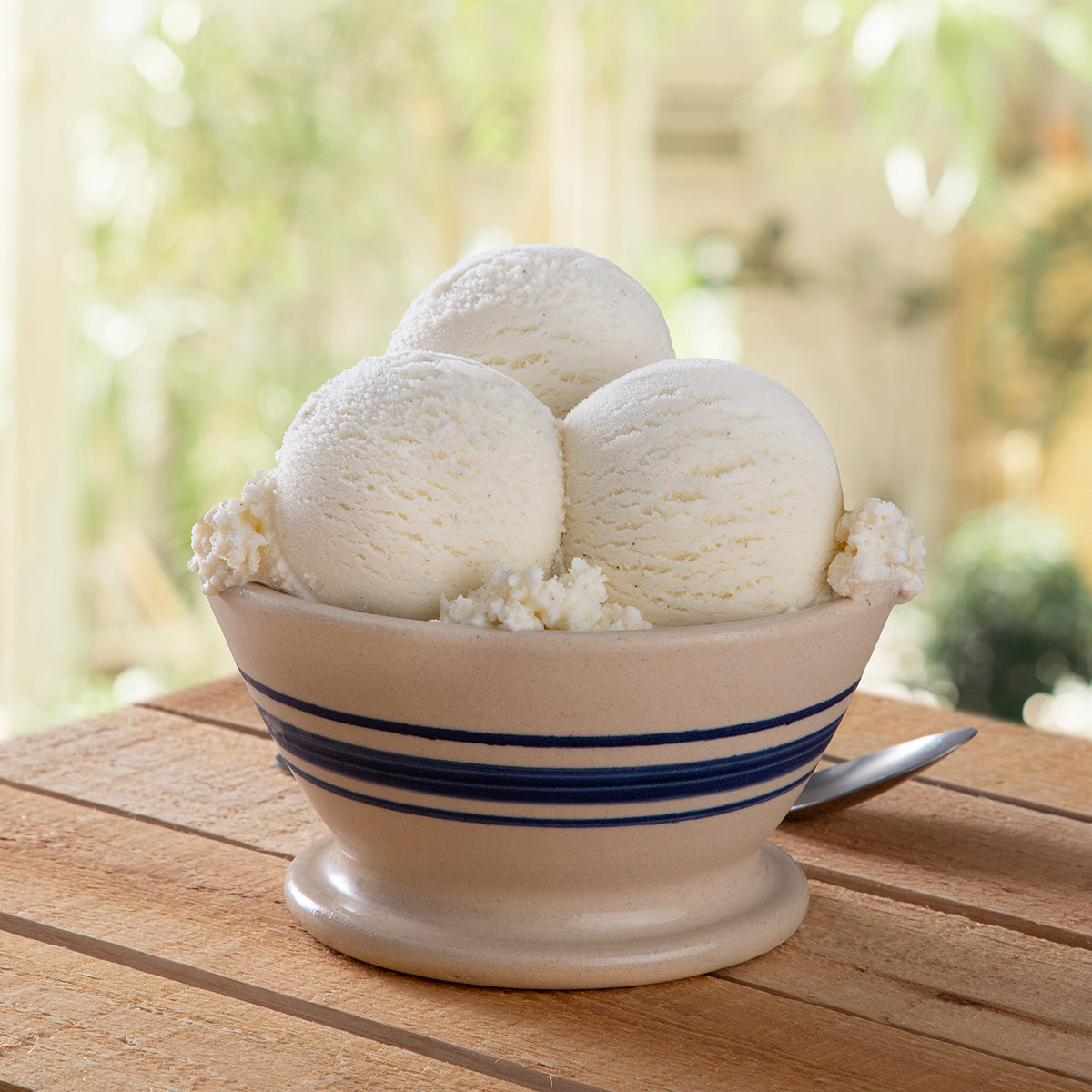 Bowl of Blue Bell Natural Vanilla Bean Ice Cream on a wooden table and blurry garden background.  