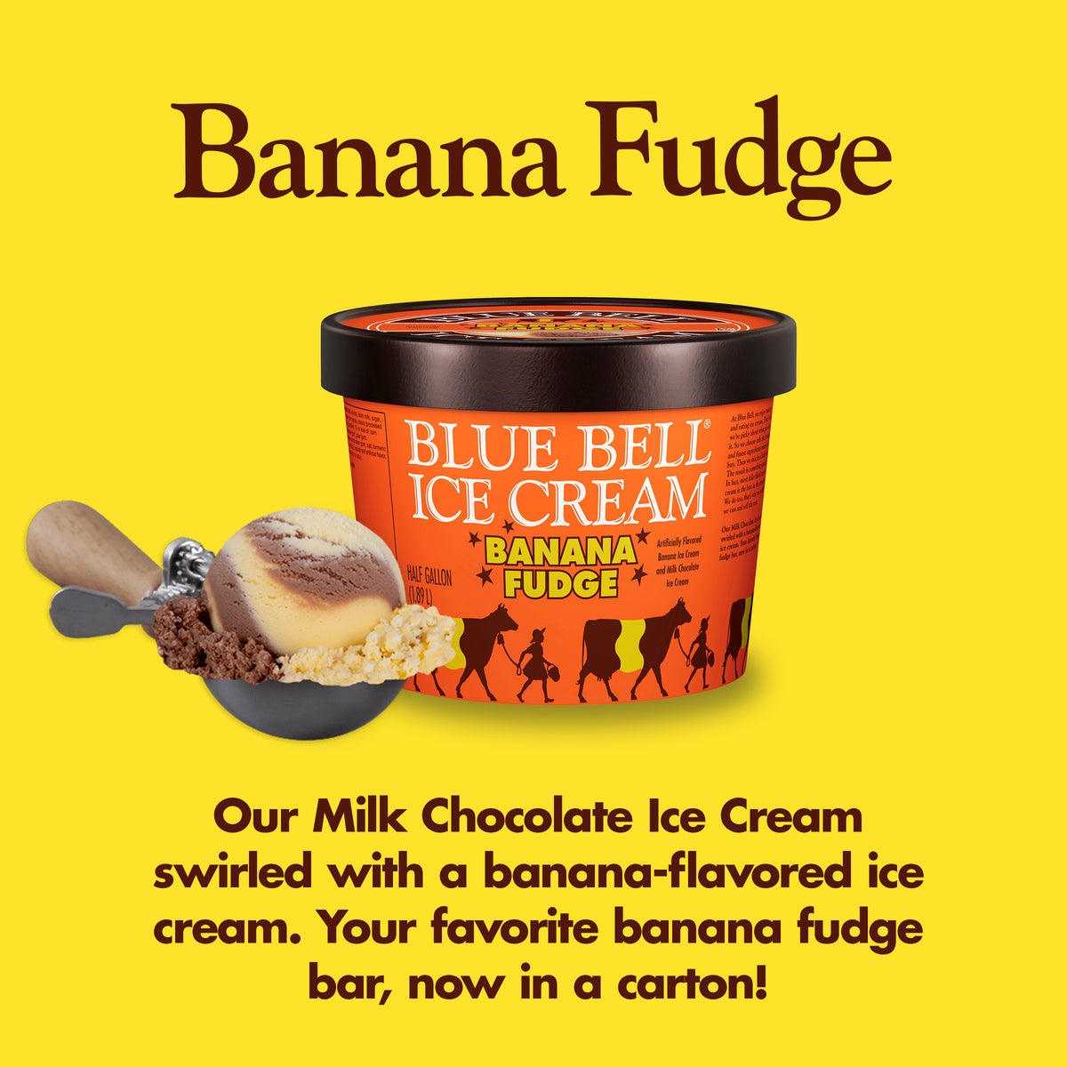 Blue Bell Banana Fudge Ice Cream Half Gallons Infographic with carton of ice cream, scoop of ice cream in a dipper and flavor description: Our Milk Chocolate Ice Cream swirled with a banana-flavored ice cream. Your favorite banana fudge bar, now in a carton! 