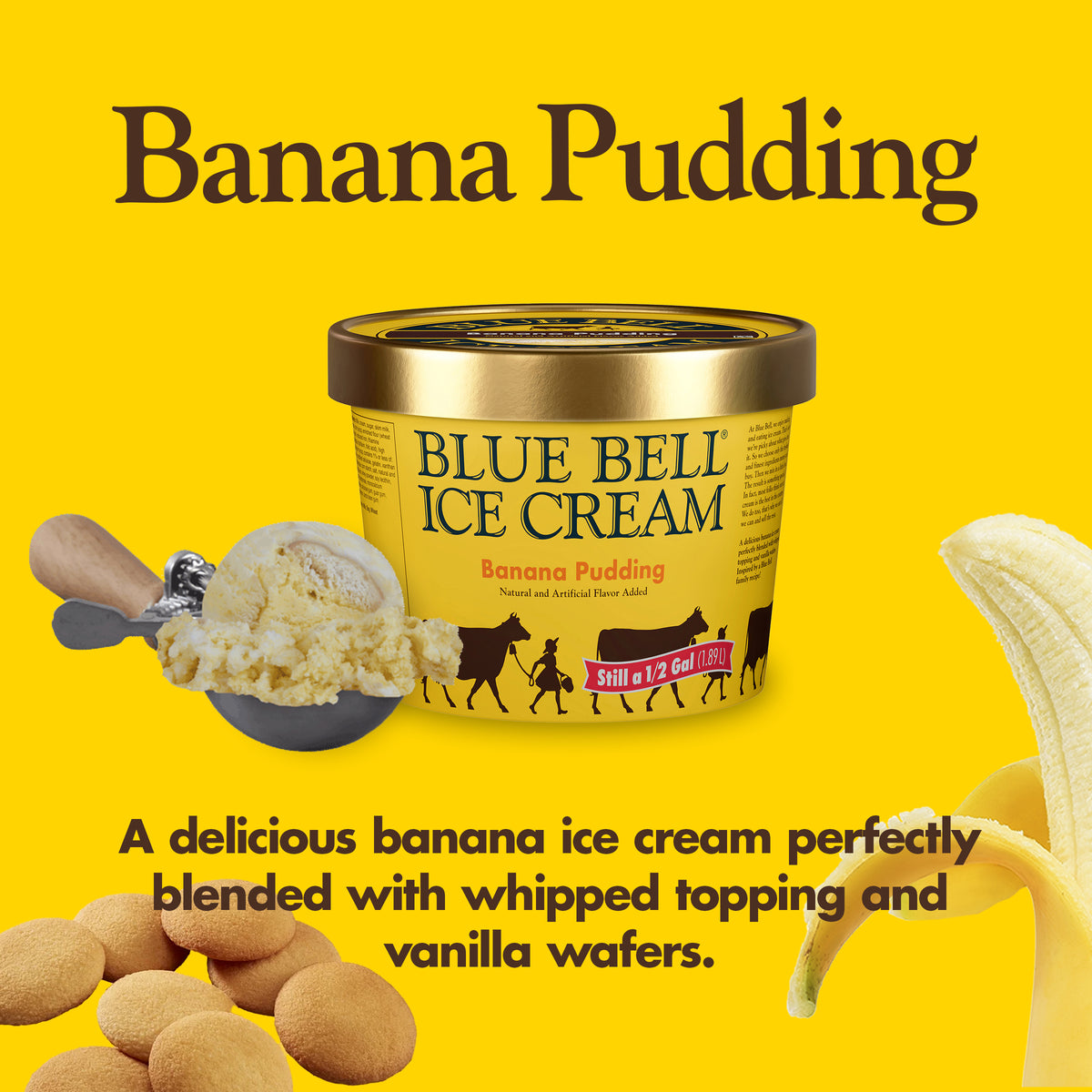 Blue Bell Banana Pudding Ice Cream Half Gallons Infographic with carton of ice cream, scoop of ice cream in a dipper and flavor description: A delicious banana ice cream perfectly blended together with whipped topping and vanilla wafers.