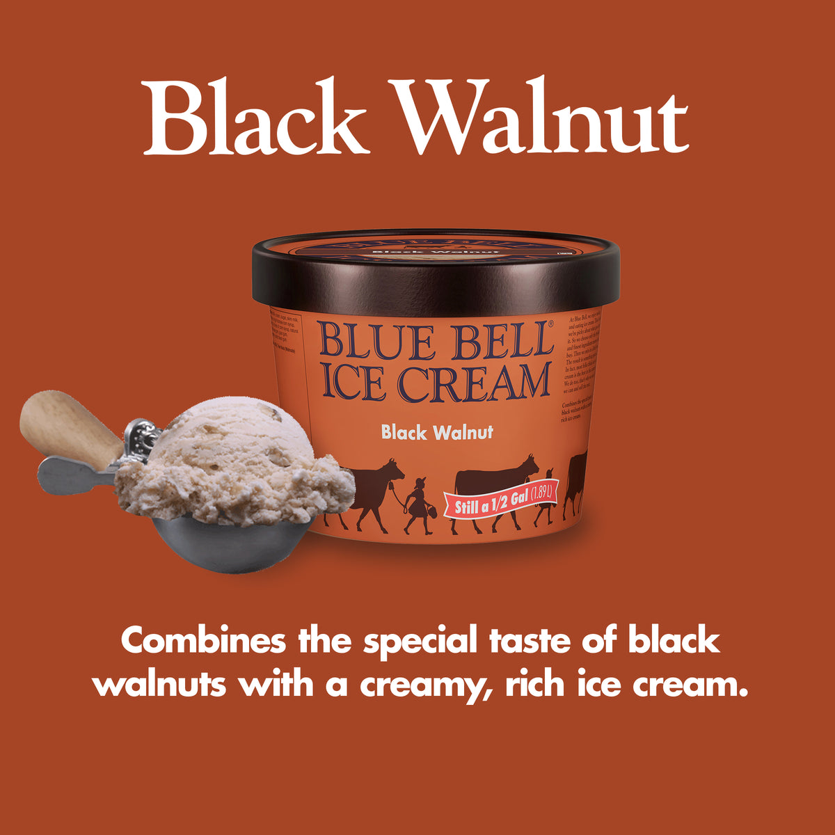 Blue Bell Black Walnut Ice Cream Half Gallons Infographic with carton of ice cream, scoop of ice cream in a dipper and flavor description: Combines the special taste of black walnuts with a creamy, rich ice cream.