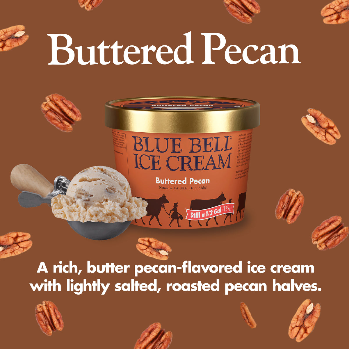 Blue Bell Buttered Pecan Ice Cream Half Gallons Infographic with carton of ice cream, scoop of ice cream in a dipper and flavor description: A rich, butter pecan-flavored ice cream with lightly salted, roasted pecan halves.
