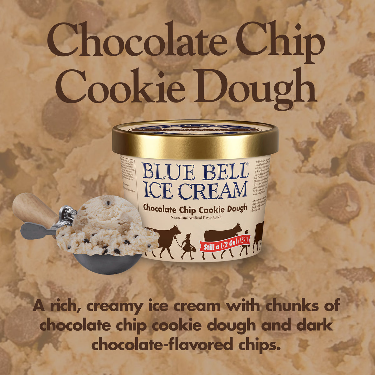 Blue Bell Chocolate Chip Cookie Dough Ice Cream Half Gallons Infographic with carton of ice cream, scoop of ice cream in a dipper and flavor description: A rich, creamy ice cream with chunks of chocolate chip cookie dough and dark chocolate-flavored chips.