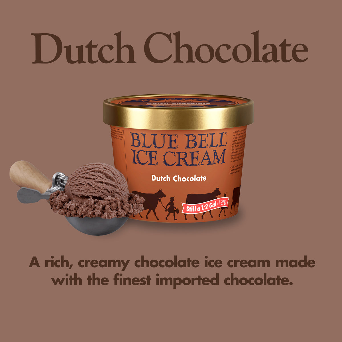 Blue Bell Dutch Chocolate Ice Cream Half Gallons Infographic with carton of ice cream, scoop of ice cream in a dipper and flavor description: A rich, creamy chocolate ice cream made with the finest imported chocolate.
