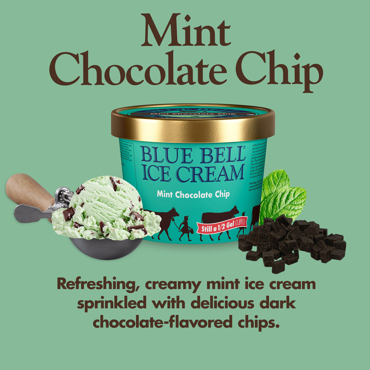 Blue Bell Mint Chocolate Chip Ice Cream Half Gallons Infographic with carton of ice cream, scoop of ice cream in a dipper and flavor description: Refreshing, creamy mint ice cream sprinkled with delicious dark chocolate-flavored chips.