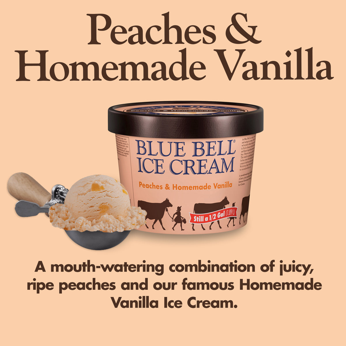 Blue Bell Peaches & Homemade Vanilla Ice Cream Half Gallons Infographic with carton of ice cream, scoop of ice cream in a dipper and flavor description: A mouth-watering combination of juicy, ripe peaches and our famous Homemade Vanilla Ice Cream. 
