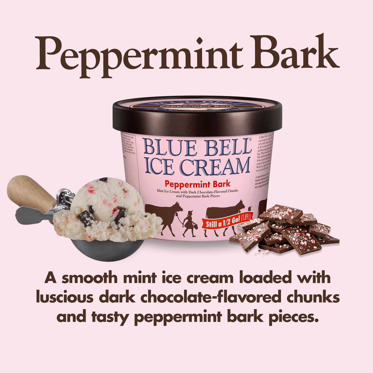 Blue Bell Peppermint Bark Ice Cream Half Gallons Infographic with carton of ice cream, scoop of ice cream in a dipper and flavor description: A smooth mint ice cream loaded with luscious dark chocolate-flavored chunks and tasty peppermint bark pieces.
