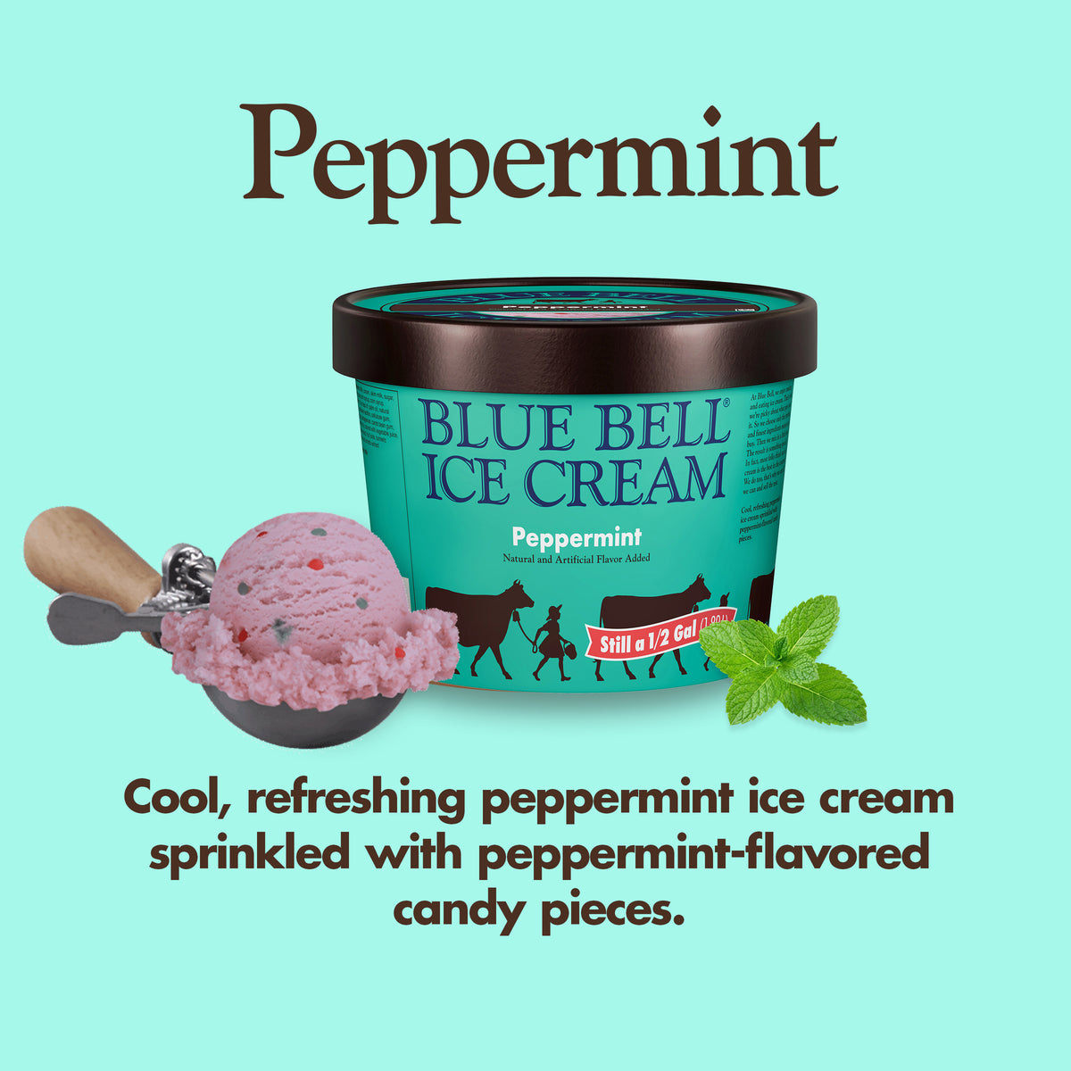 Blue Bell Peppermint Ice Cream Half Gallons Infographic with carton of ice cream, scoop of ice cream in a dipper and flavor description: A cool, refreshing peppermint ice cream sprinkled withpeppermint-flavored candy pieces. 
