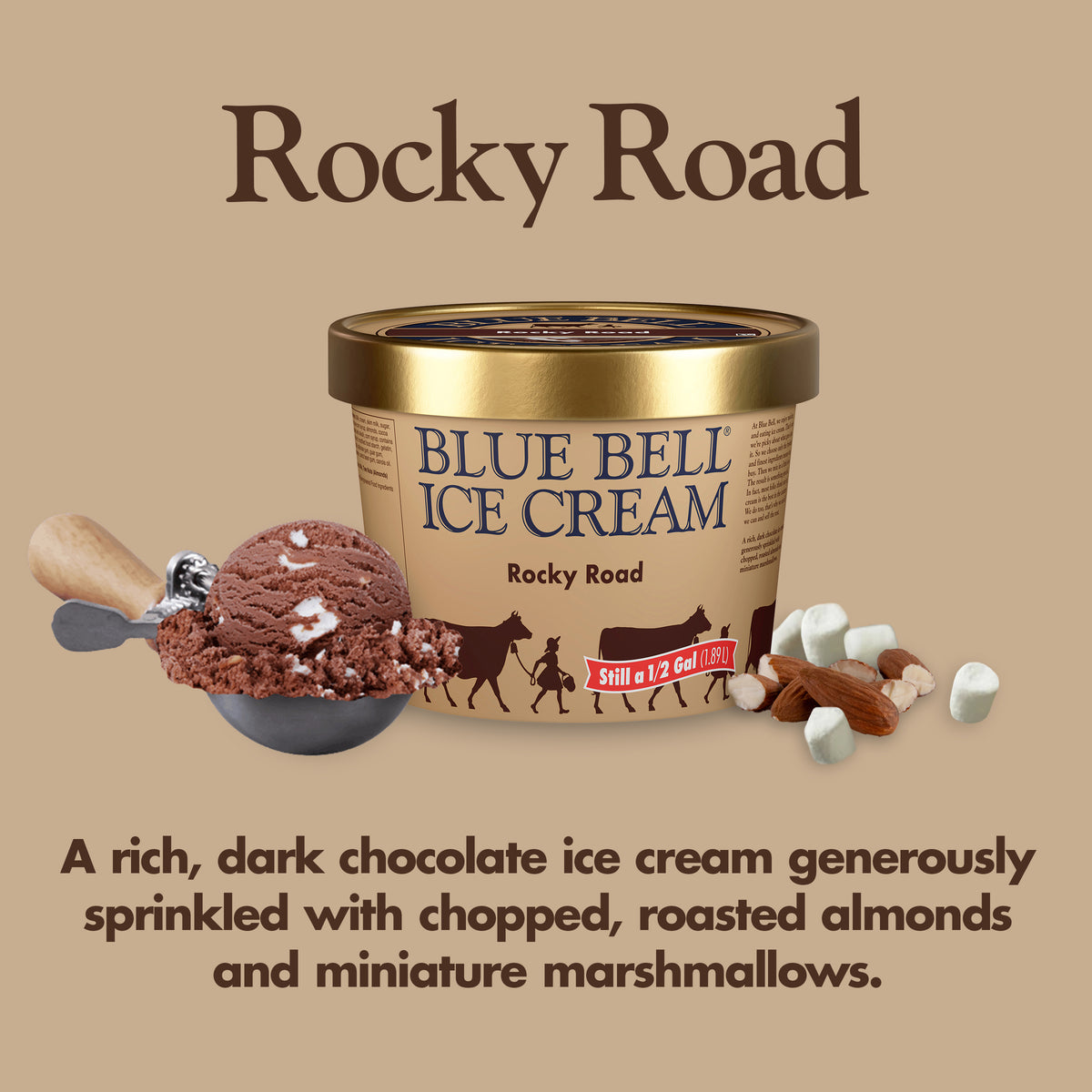 Blue Bell Rocky Road Ice Cream Half Gallons Infographic with carton of ice cream, scoop of ice cream in a dipper and flavor description: A rich, dark chocolate ice cream generously sprinkled with chopped, roasted almonds and miniature marshmallows.