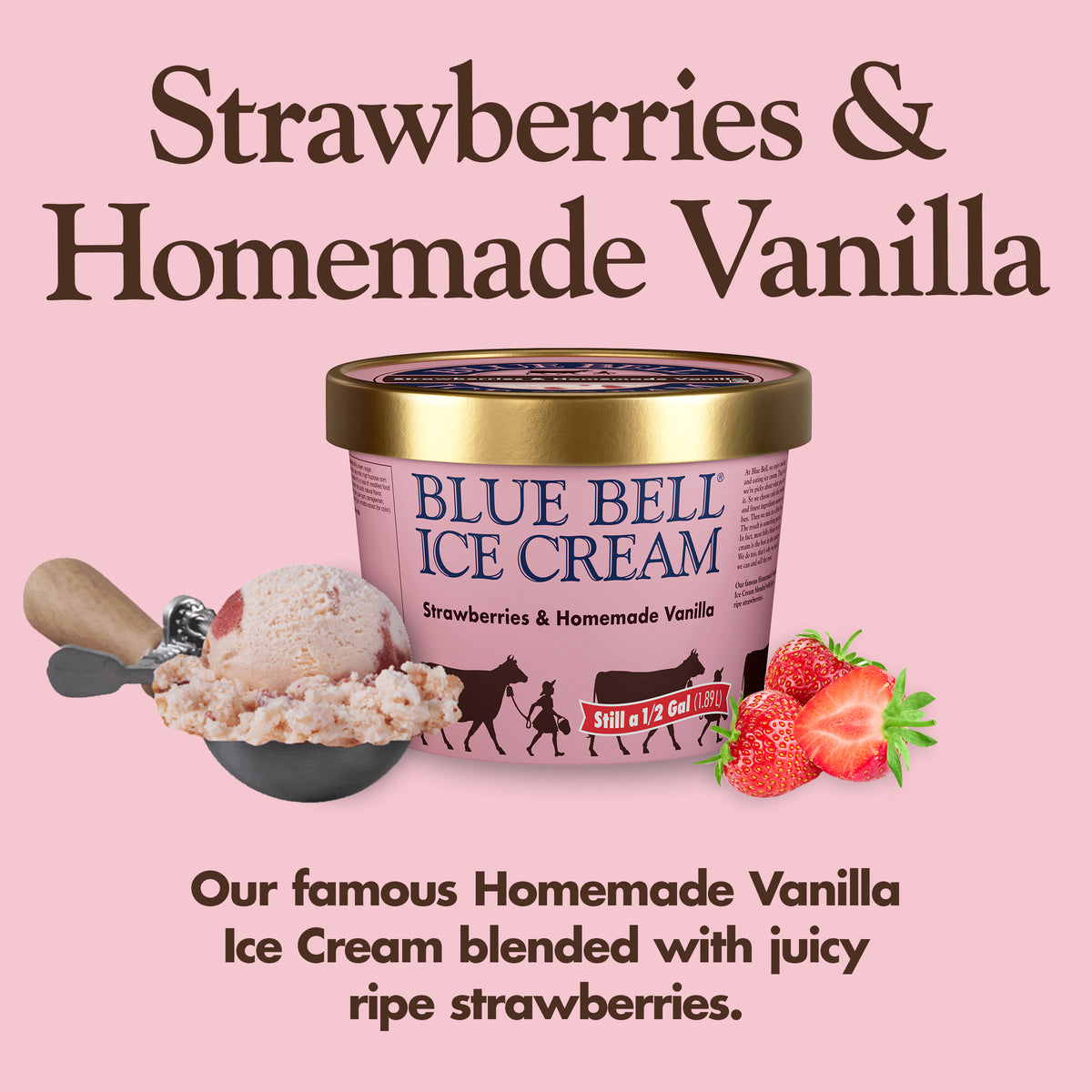 Blue Bell Strawberries & Homemade Vanilla Ice Cream Half Gallons Infographic with carton of ice cream, scoop of ice cream in a dipper and flavor description: Our famous Homemade Vanilla Ice Cream blended with juicy ripe strawberries. 