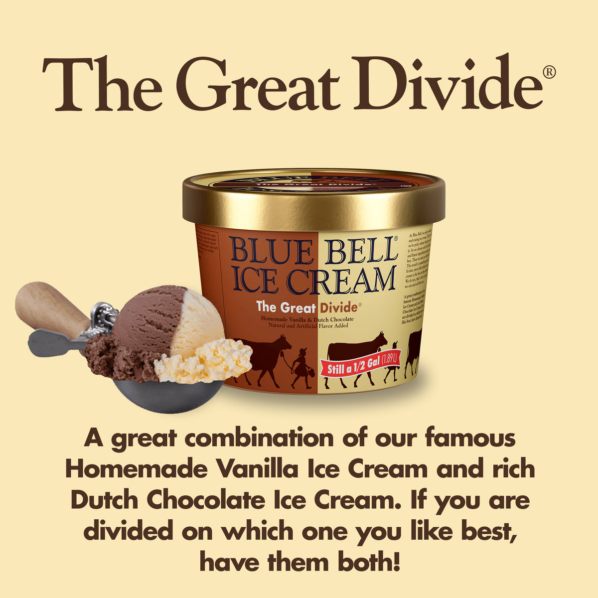 Blue Bell The Great Divide Ice Cream Half Gallons Infographic with carton of ice cream, scoop of ice cream in a dipper and flavor description: A great combination of our famous Homemade Vanilla Ice Cream and rich Dutch Chocolate Ice Cream. If you are divided on which one you like best, have them both!
