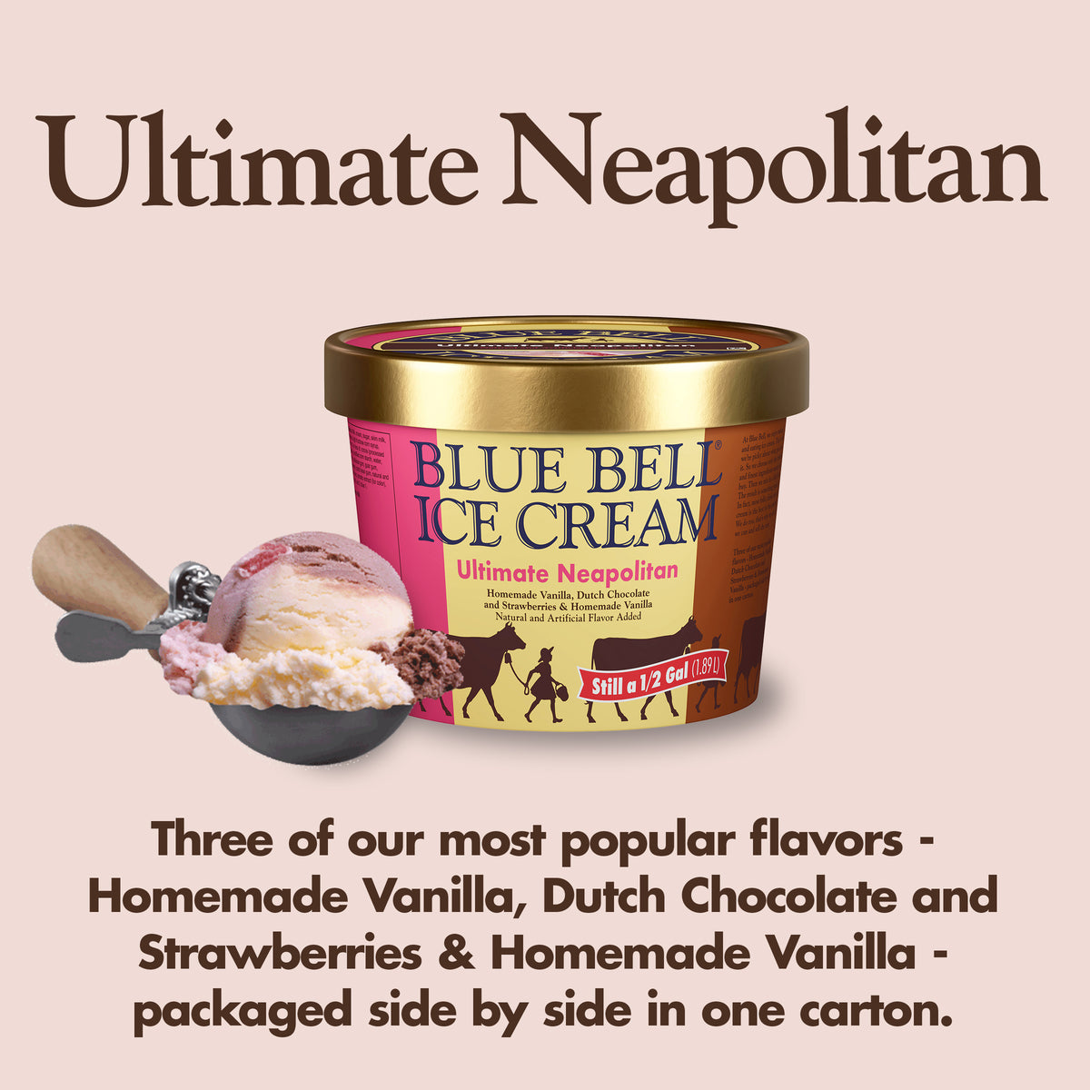 Blue Bell Ultimate Neapolitan Ice Cream Half Gallons Infographic with carton of ice cream, scoop of ice cream in a dipper and flavor description: Three of our most popular flavors, Homemade Vanilla, Dutch Chocolate and Strawberries & Homemade Vanilla packaged side-by-side in one carton.