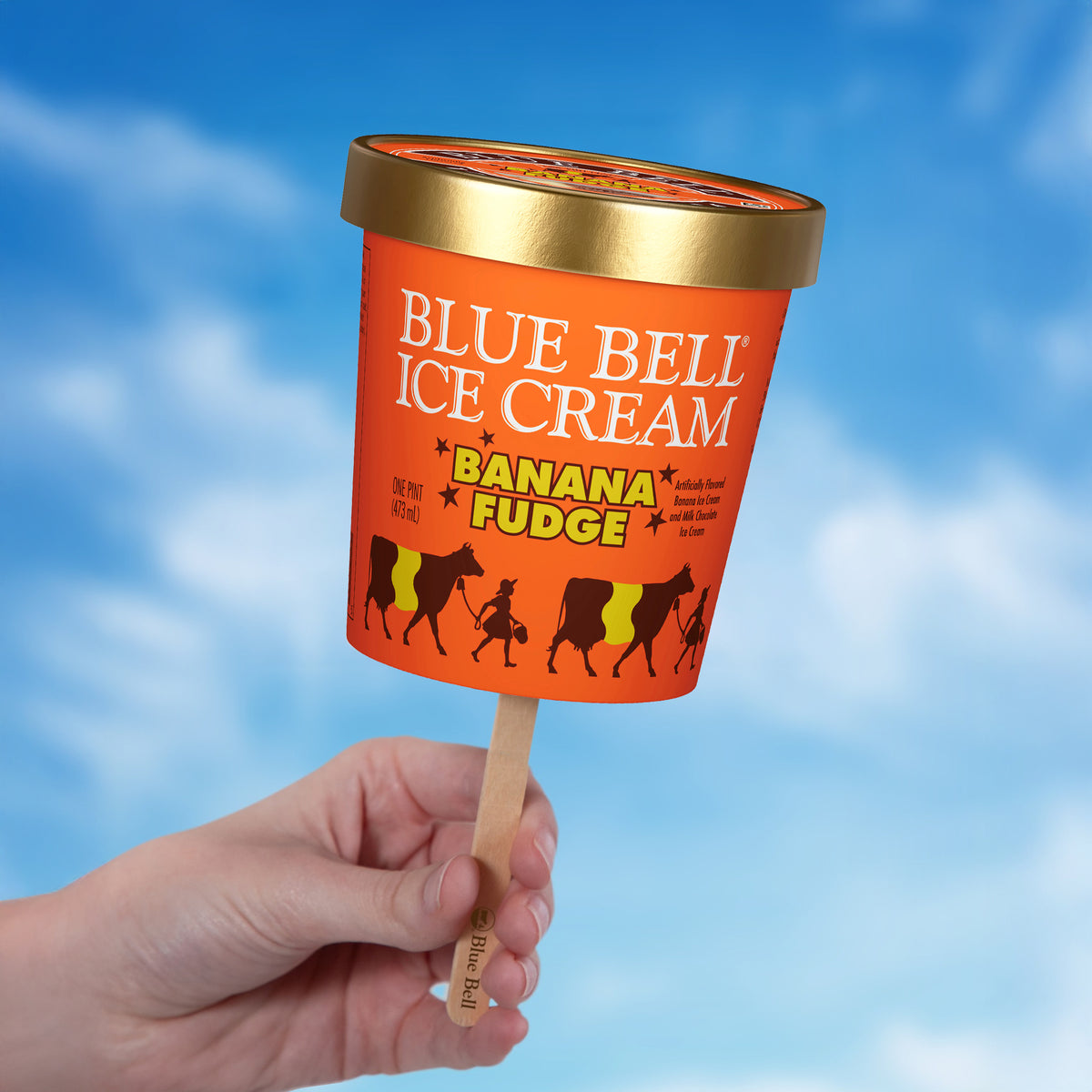 A hand holding a Blue Bell Ice Cream pint labeled Banana Fudge, set against a blue sky background with clouds.