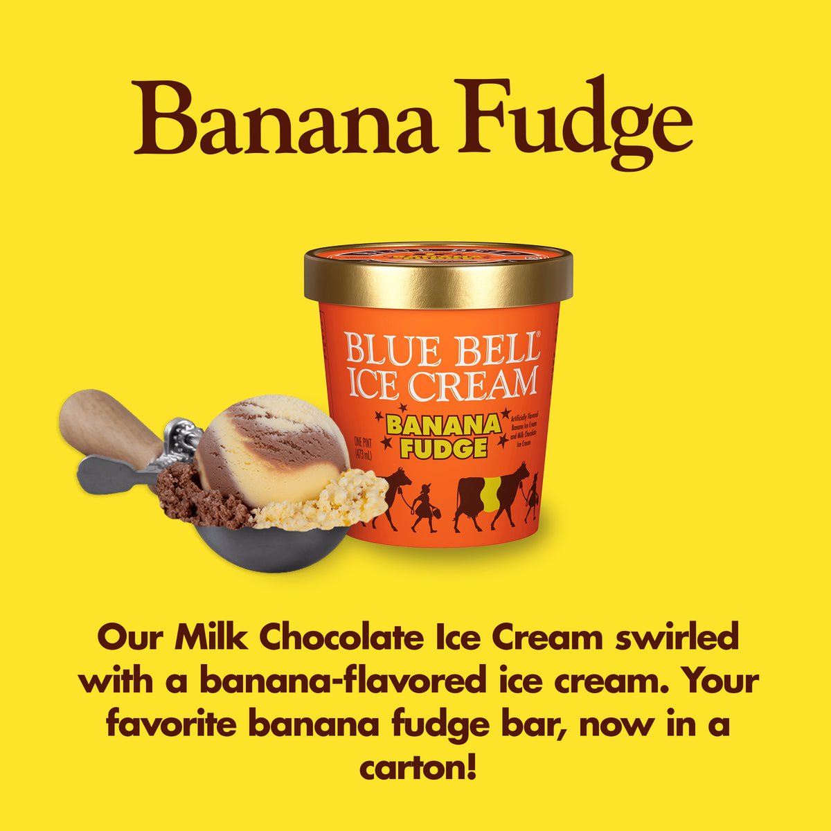 Blue Bell Banana Fudge Ice Cream Pints Infographic with carton of ice cream, scoop of ice cream in a dipper and flavor description: Our Milk Chocolate Ice Cream swirled with a banana-flavored ice cream. Your favorite banana fudge bar, now in a carton! 