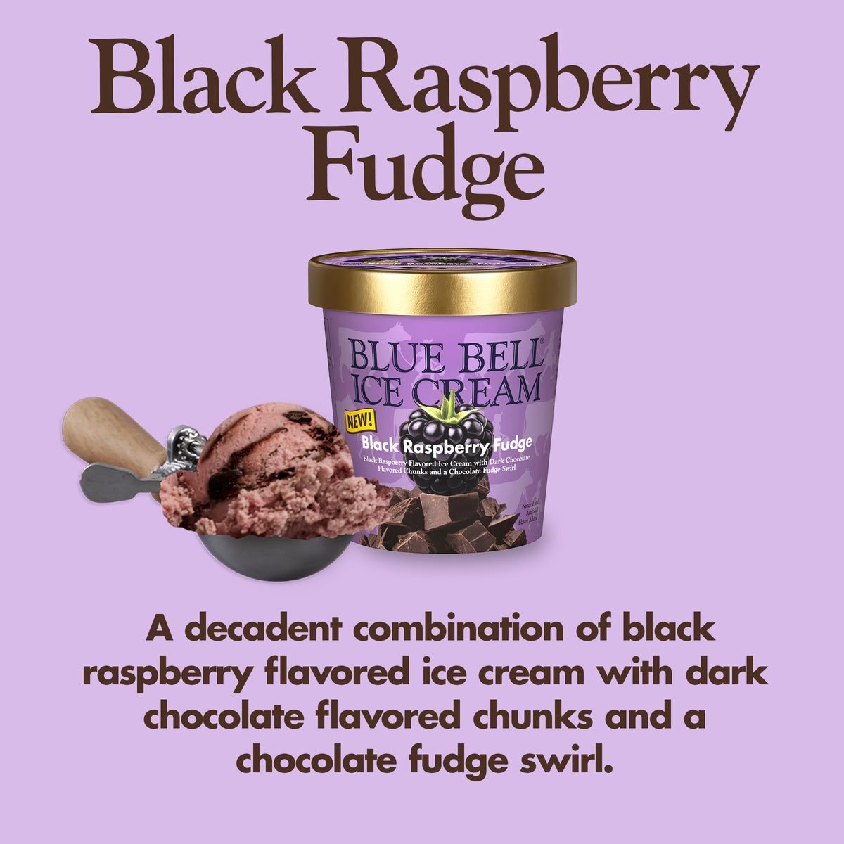 Blue Bell Black Raspberry Fudge Ice Cream Pints Infographic with carton of ice cream, scoop of ice cream in a dipper and flavor description: A decadent combination of black raspberry-flavored ice cream with dark chocolate-flavored chunks and a chocolate fudge swirl.