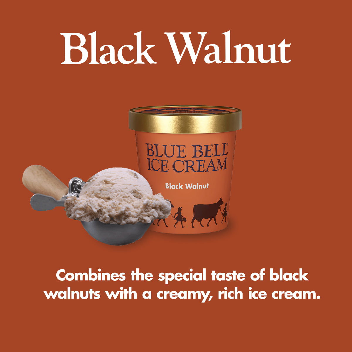 Blue Bell Black Walnut Ice Cream Pints Infographic with carton of ice cream, scoop of ice cream in a dipper and flavor description: Combines the special taste of black walnuts with a creamy, rich ice cream.