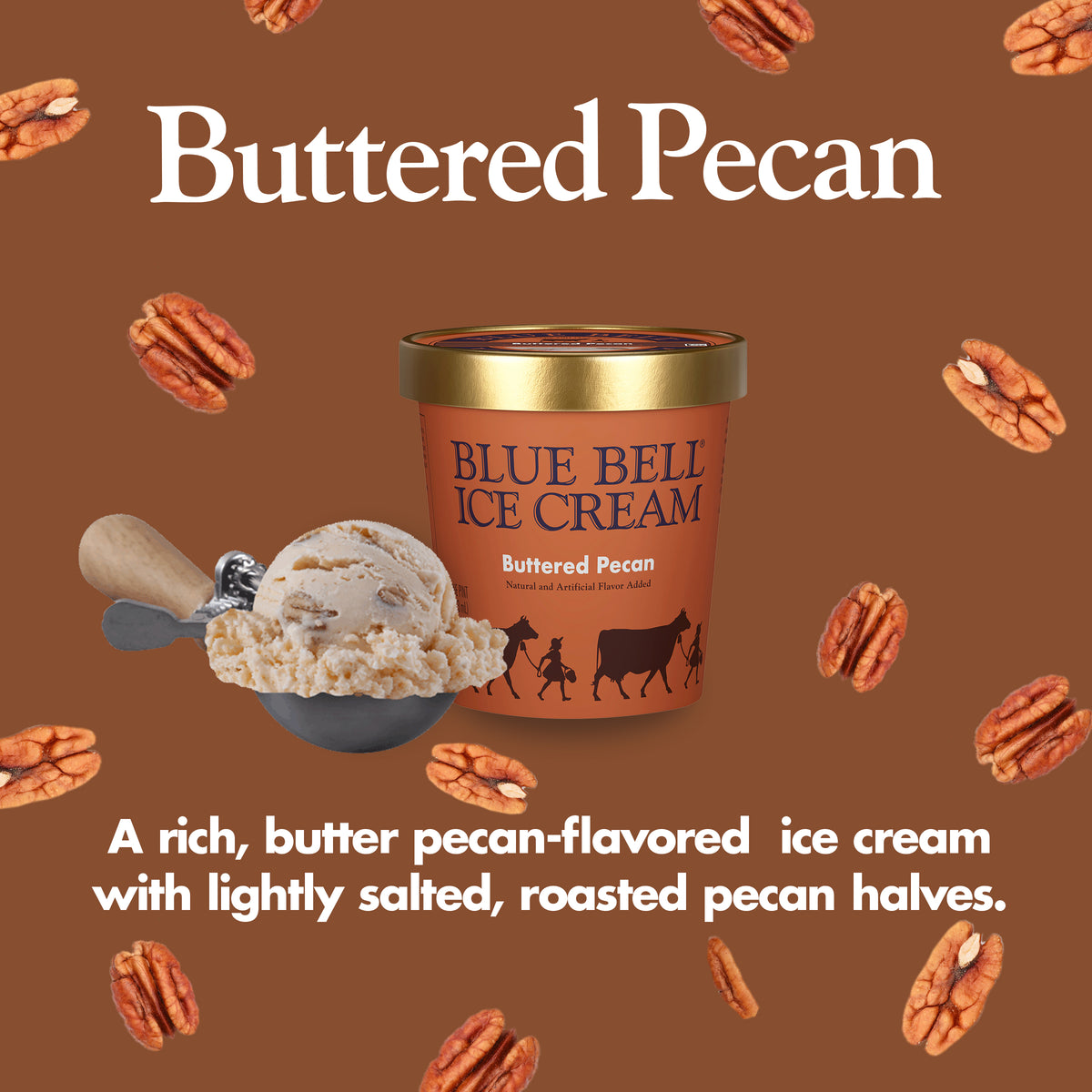 Blue Bell Buttered Pecan Ice Cream Pints Infographic with carton of ice cream, scoop of ice cream in a dipper and flavor description: A rich, butter pecan-flavored ice cream with lightly salted, roasted pecan halves.