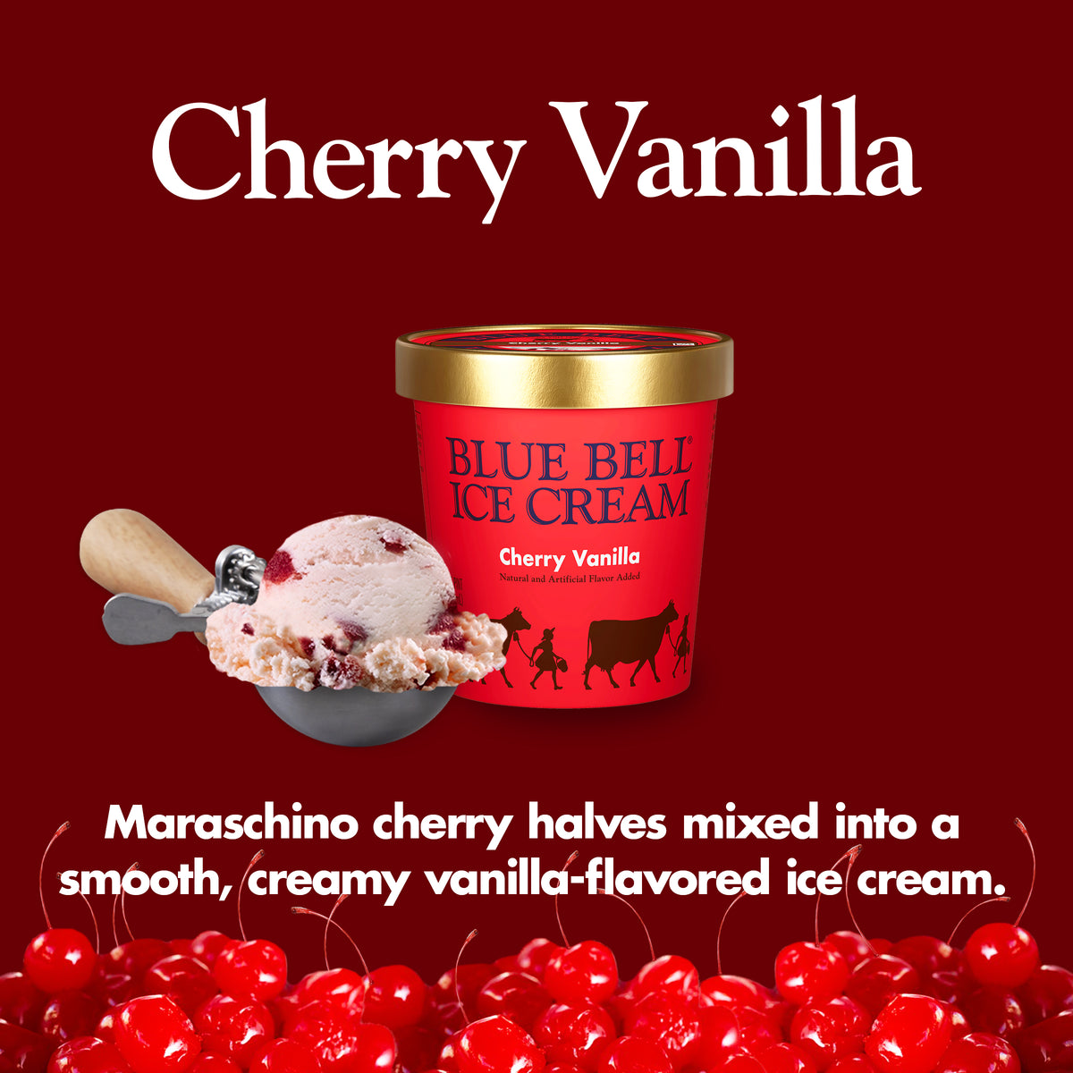Blue Bell Cherry Vanilla Ice Cream Pints Infographic with carton of ice cream, scoop of ice cream in a dipper and flavor description: Maraschino cherry halves mixed into a smooth, creamy vanilla-flavored ice cream.