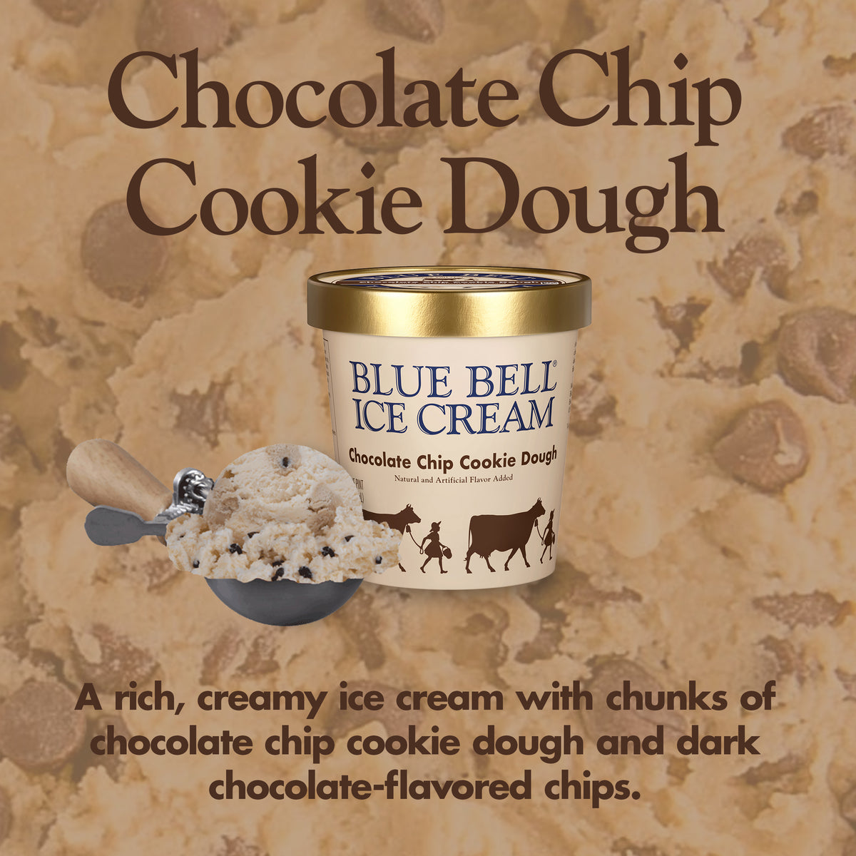 Blue Bell Chocolate Chip Cookie Dough Ice Cream Pints Infographic with carton of ice cream, scoop of ice cream in a dipper and flavor description: A rich, creamy ice cream with chunks of chocolate chip cookie dough and dark chocolate-flavored chips.