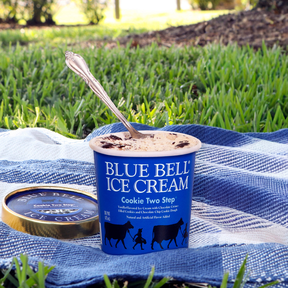 A Blue Bell Ice Cream pint of Cookie Two Step ice cream sits on a blue-and-white checkered blanket outdoors on grass, with the gold lid placed beside it and a spoon resting in the cream.