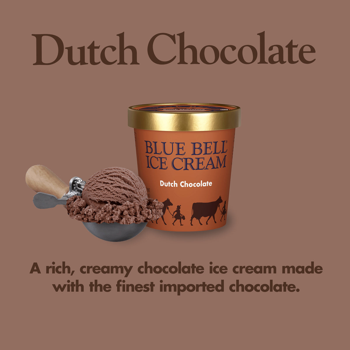 Blue Bell Dutch Chocolate Ice Cream Pints Infographic with carton of ice cream, scoop of ice cream in a dipper and flavor description: A rich, creamy chocolate ice cream made with the finest imported chocolate.