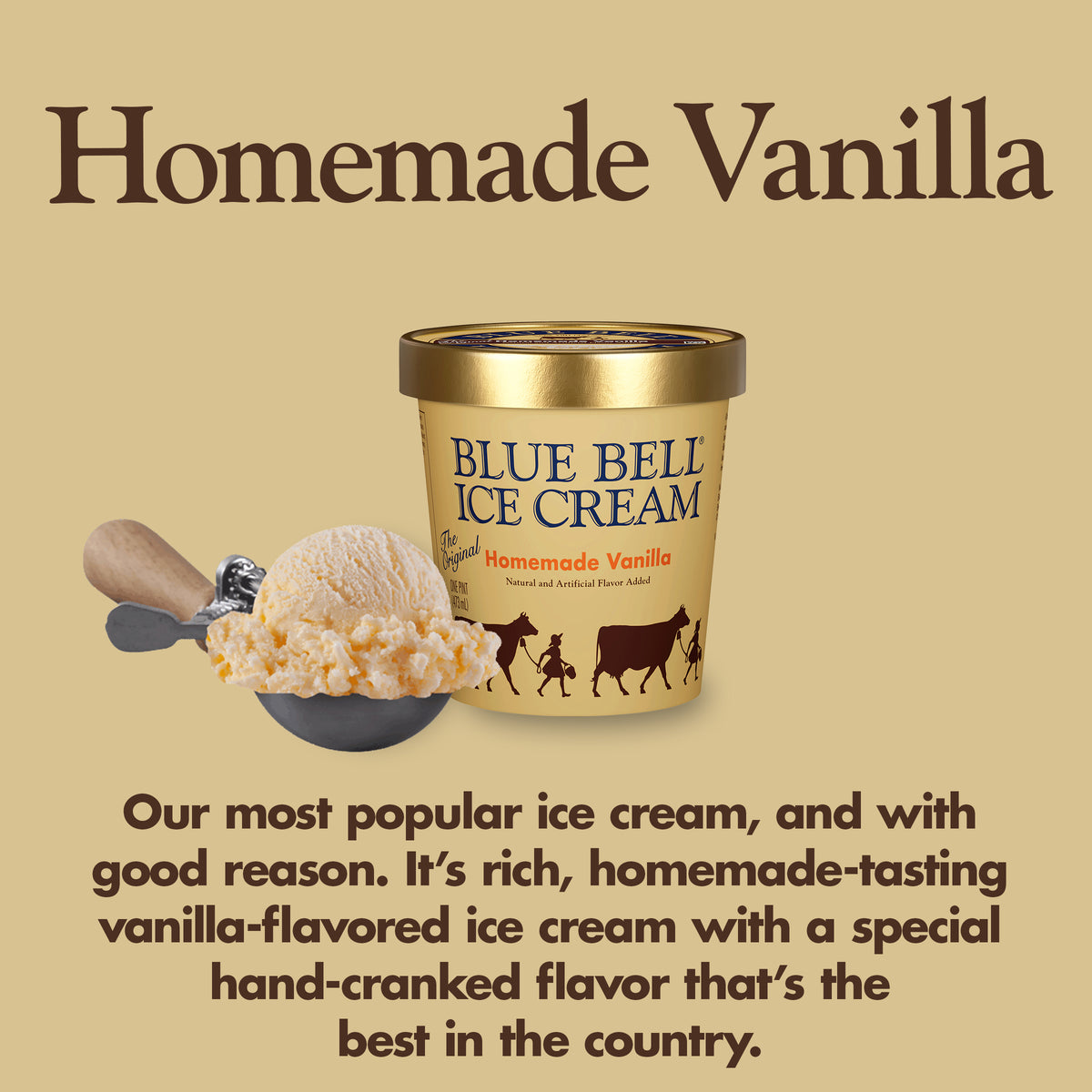 Blue Bell Homemade Vanilla Ice Cream Pints Infographic with carton of ice cream, scoop of ice cream in a dipper and flavor description: Our most popular ice cream and with good reason. It's rich, homemade-tasting vanilla-flavored ice cream with a special hand-cranked flavor that's the best in the country. 