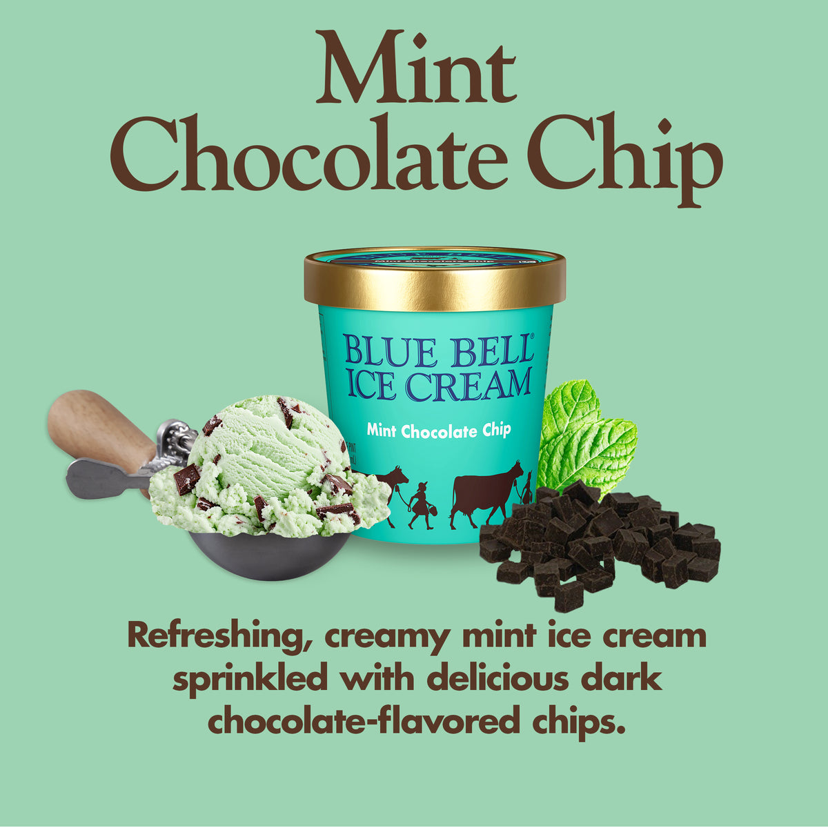 Blue Bell Mint Chocolate Chip Ice Cream Pints Infographic with carton of ice cream, scoop of ice cream in a dipper and flavor description: Refreshing, creamy mint ice cream sprinkled with delicious dark chocolate-flavored chips.