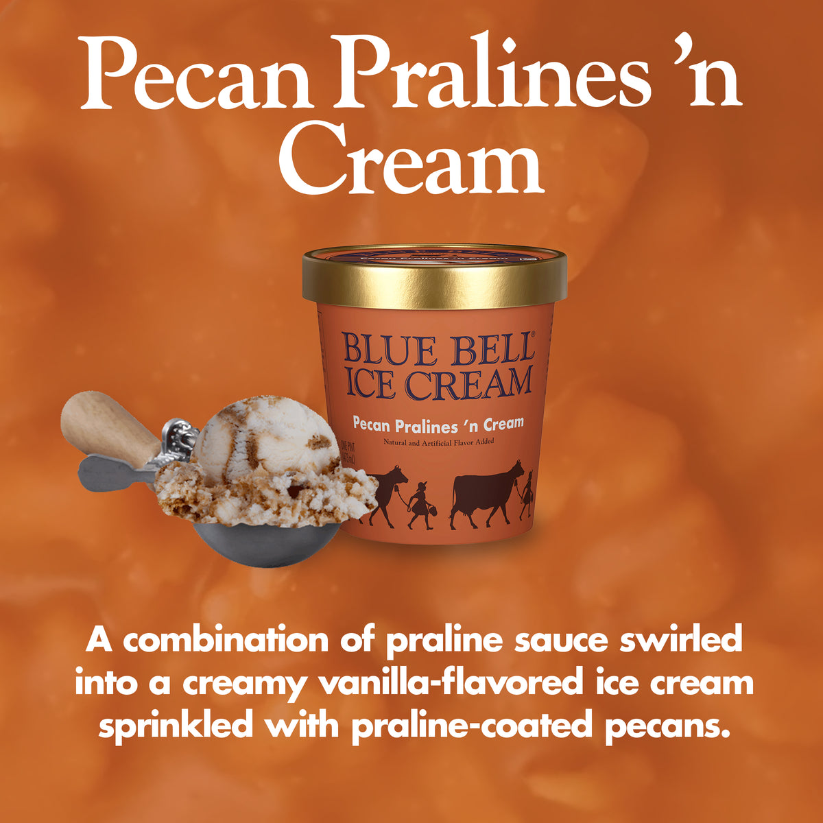 Blue Bell Pecan Pralines 'n Cream Ice Cream Pints Infographic with carton of ice cream, scoop of ice cream in a dipper and flavor description: A combination of praline sauce swirled into a creamy vanilla-flavored ice cream sprinkled with praline-coated pecans.