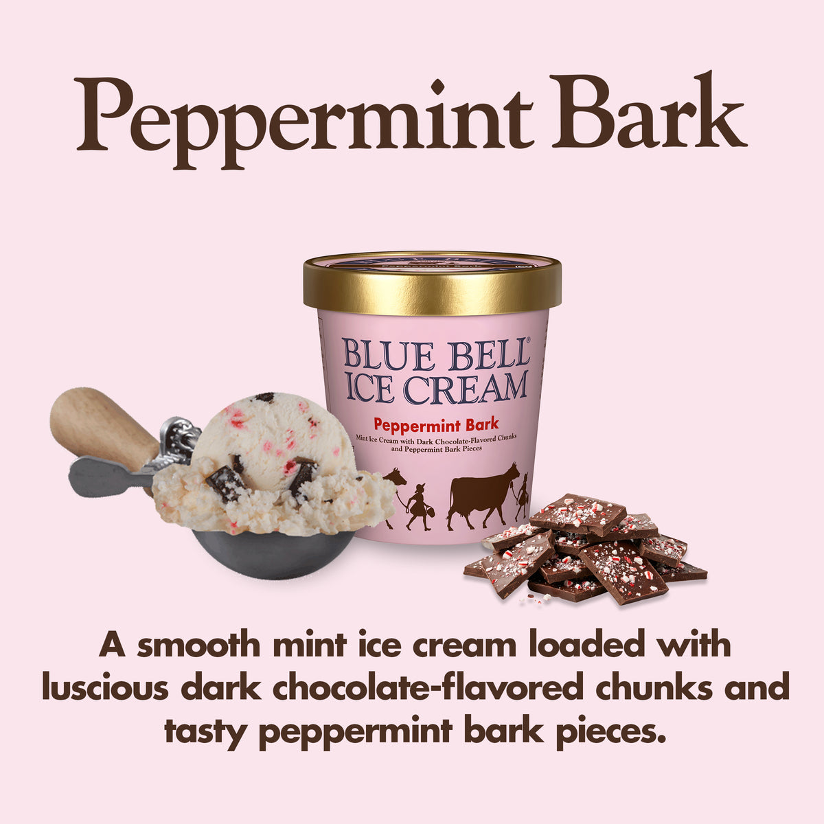 Blue Bell Peppermint Bark Ice Cream Pints Infographic with carton of ice cream, scoop of ice cream in a dipper and flavor description: A smooth mint ice cream loaded with luscious dark chocolate-flavored chunks and tasty peppermint bark pieces.