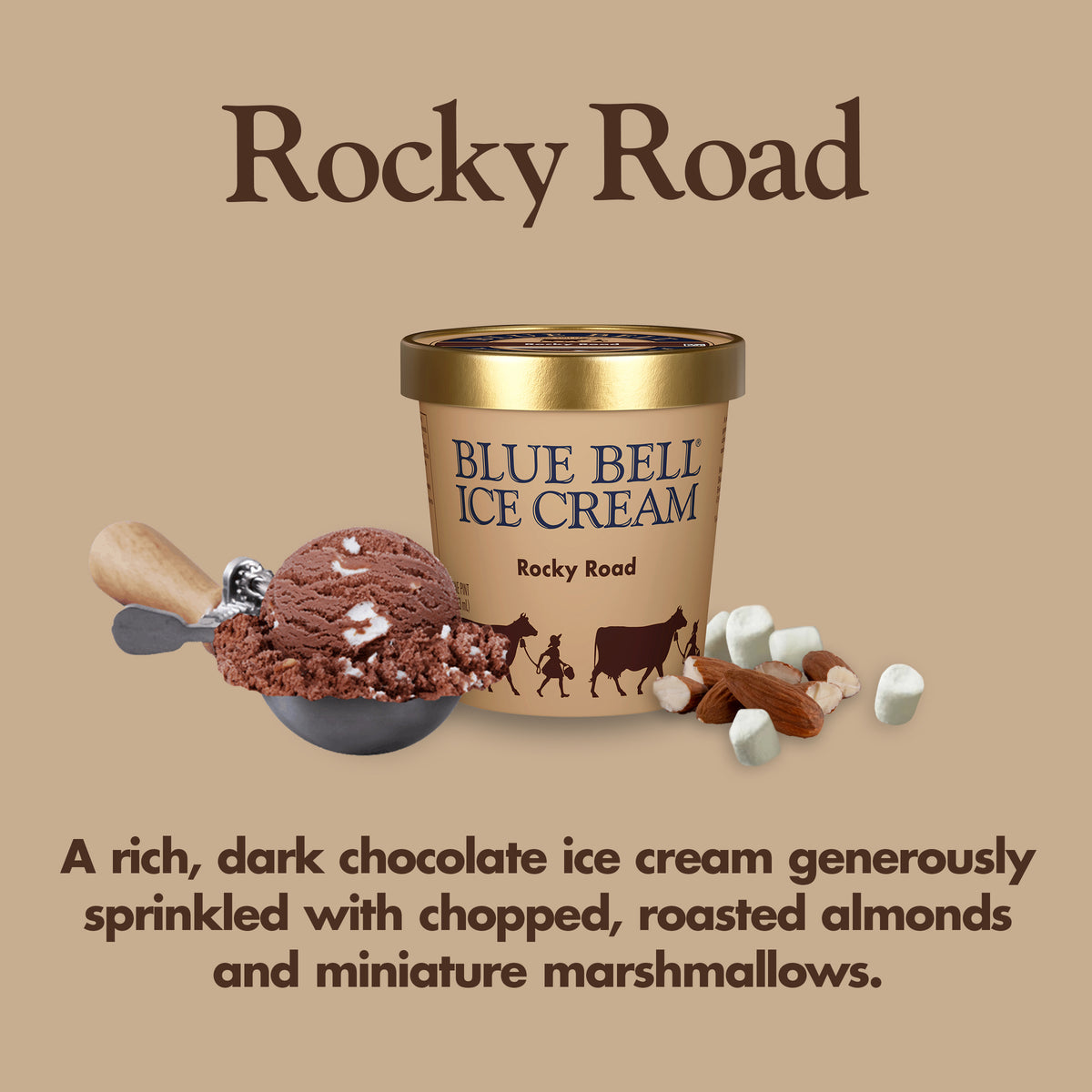 Blue Bell Rocky Road Ice Cream Pints Infographic with carton of ice cream, scoop of ice cream in a dipper and flavor description: A rich, dark chocolate ice cream generously sprinkled with chopped, roasted almonds and miniature marshmallows.