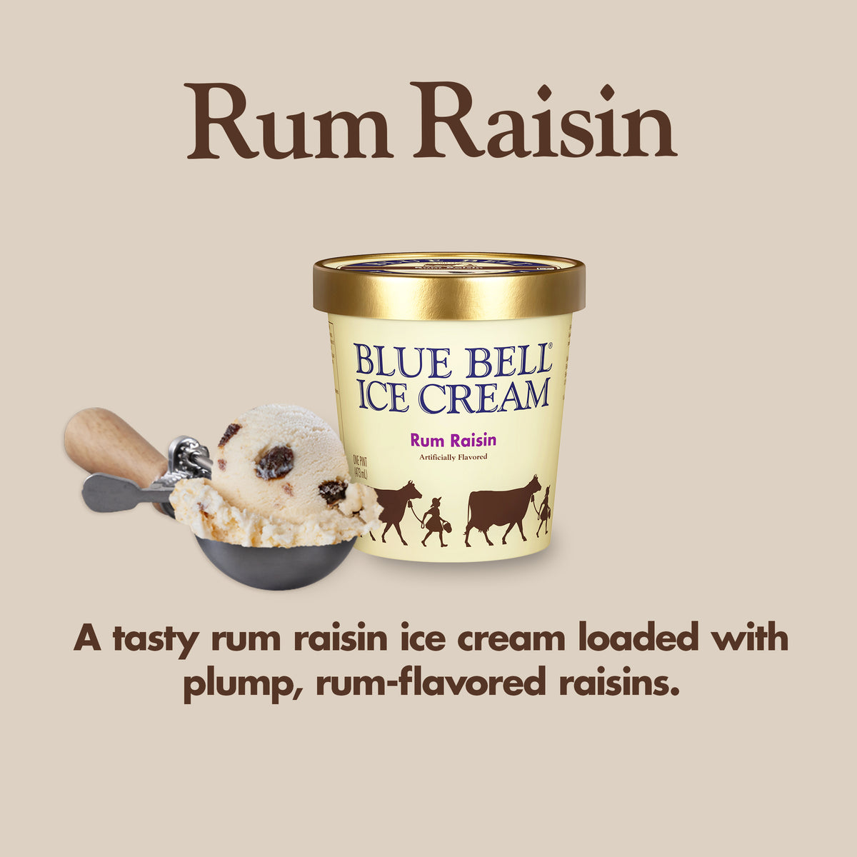 Blue Bell Rum Raisin Ice Cream Pints Infographic with carton of ice cream, scoop of ice cream in a dipper and flavor description: A tasty rum raisin ice cream loaded with plump, rum-flavored raisins.