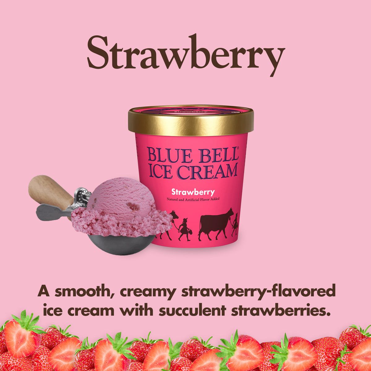 Blue Bell Strawberry Ice Cream Pints Infographic with carton of ice cream, scoop of ice cream in a dipper and flavor description: Smooth, creamy strawberry-flavored ice cream with succulent strawberries.