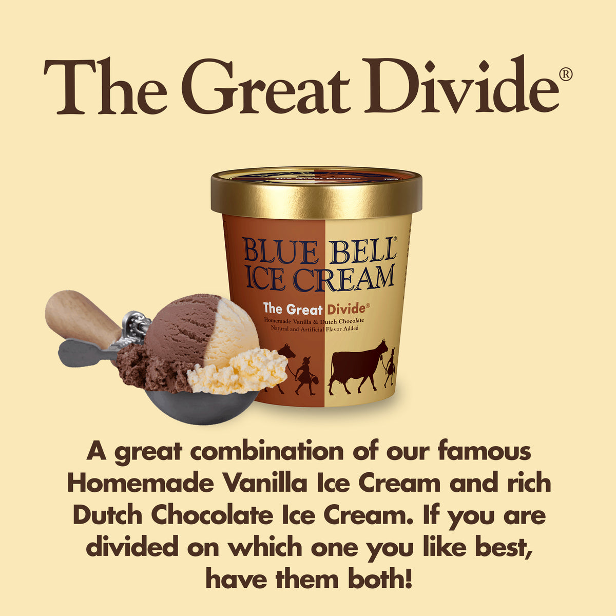 Blue Bell The Great Divide Ice Cream Pints Infographic with carton of ice cream, scoop of ice cream in a dipper and flavor description: A great combination of our famous Homemade Vanilla Ice Cream and rich Dutch Chocolate Ice Cream. If you are divided on which one you like best, have them both!